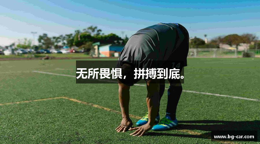 无所畏惧，拼搏到底。